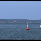 " Les cabanes de lîle aux oiseaux au milieu du bassin d'Arcachon "