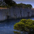 Les Calanques de Cassis)