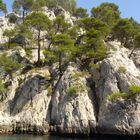 les calanques de cassis