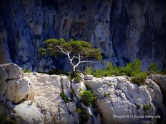 Les calanques de Marseille