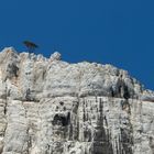 Les Calanques de Marseille