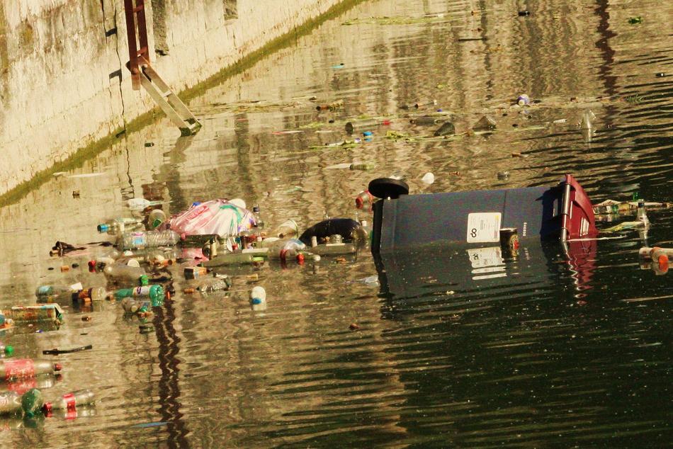 les canards et les poissons trieront