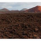 Les canaries Lanzarote