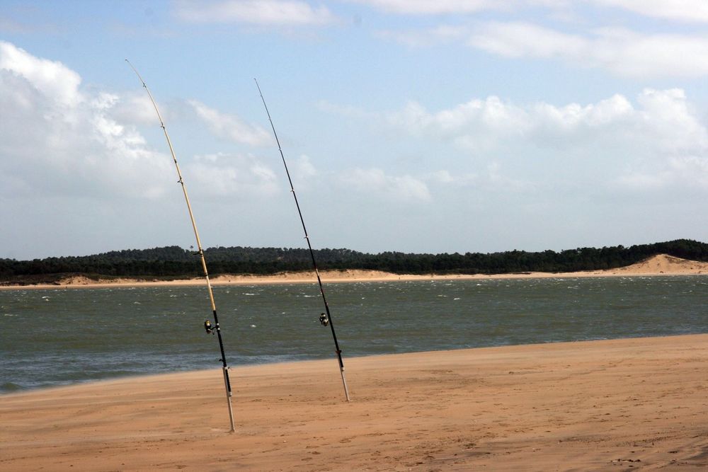 Les cannes à pêche isolées