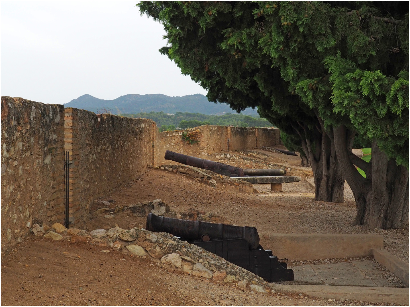 Les canons du Château de la Zuda  --  Tortosa (Catalogne)