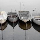 les canots à Concarneau