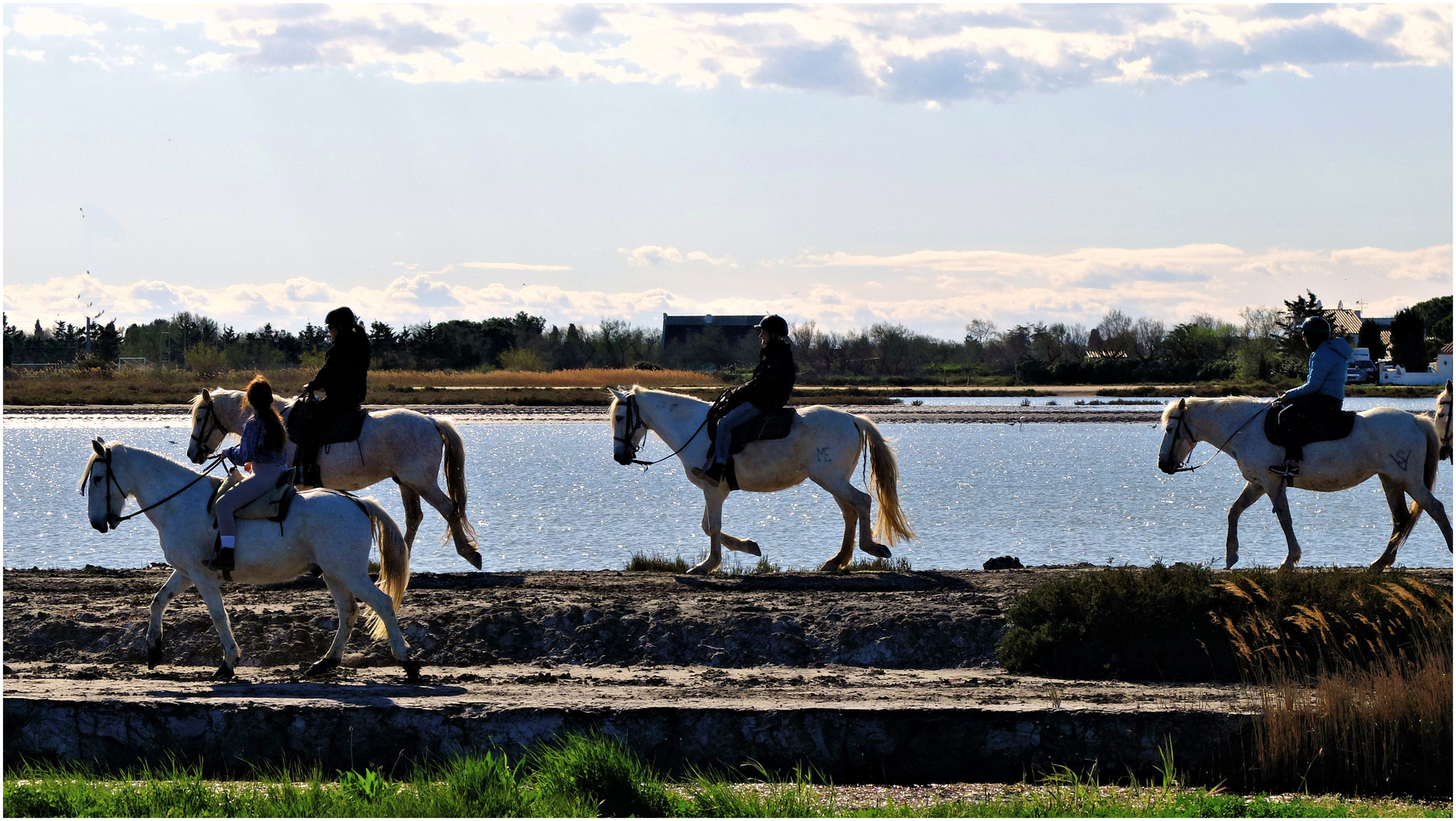 Les cavaliers de l'ombre