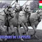 LES CAVALIERS DELA PUSZTA (1)