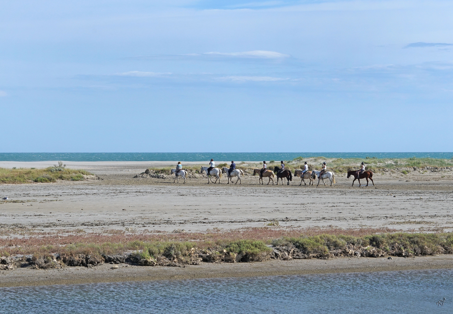 Les cavaliers en Camargue