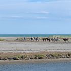 Les cavaliers en Camargue