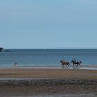 les cavaliers et la sirène 