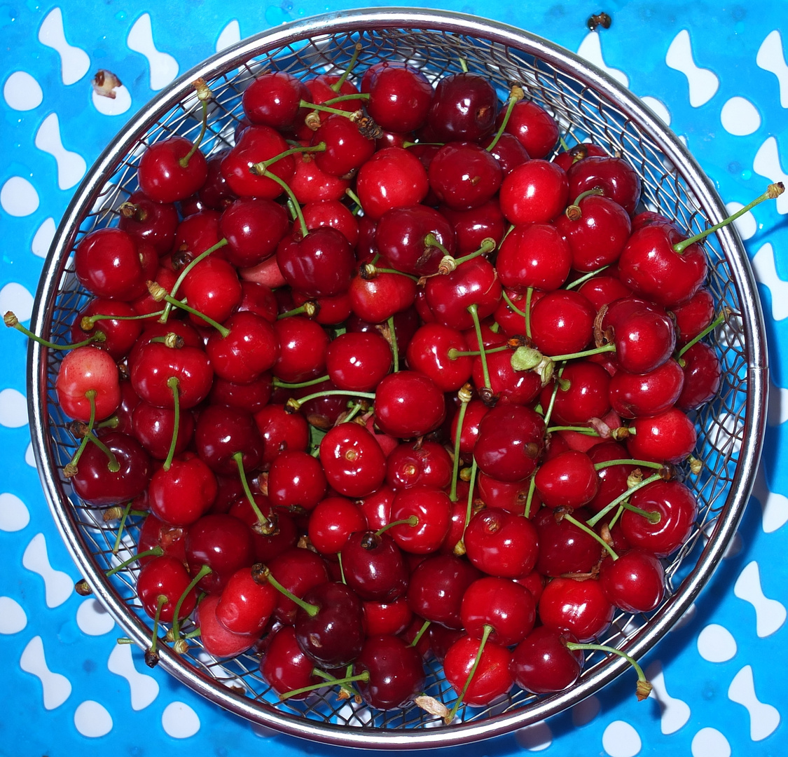 les Cerises