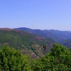 Les Cévennes, à perte de vue ....