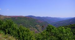 Les Cévennes, à perte de vue ....