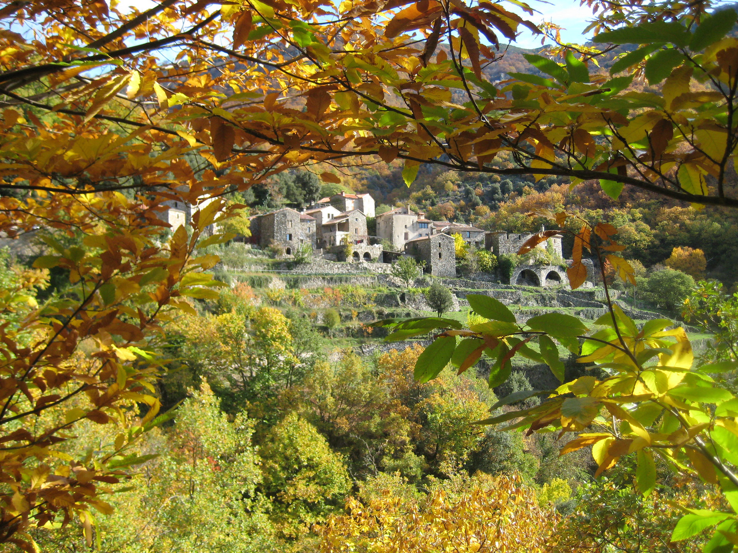 Les Cevennes - Bourg en automne au Col de l'Asclier