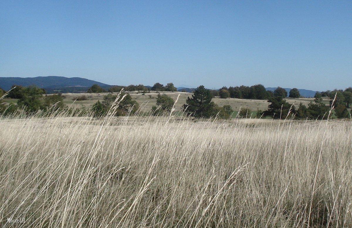 Les Cévennes