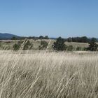 Les Cévennes