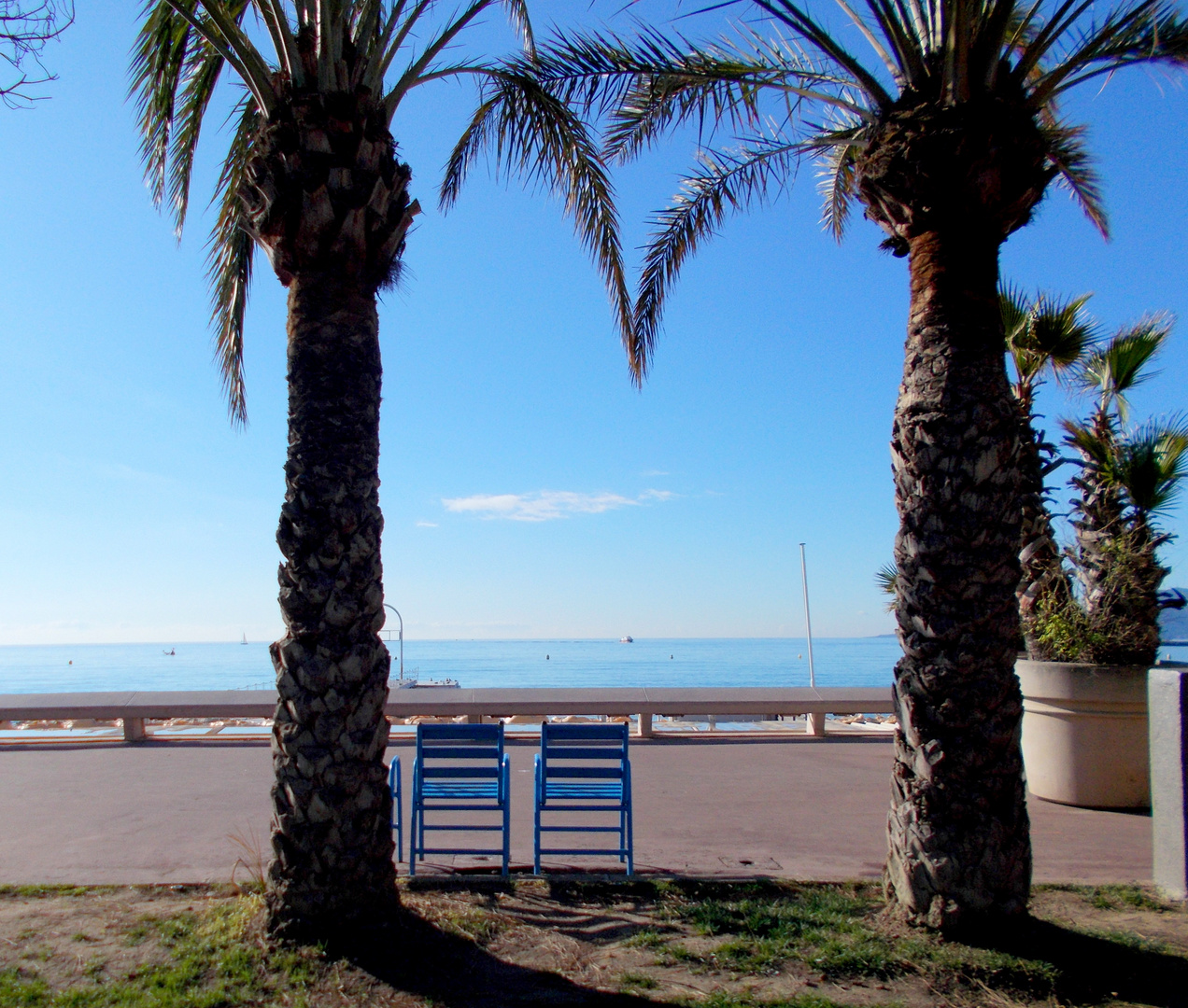 Les chaises bleues