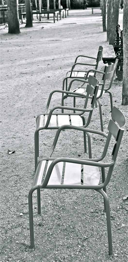 les chaises du Luxembourg