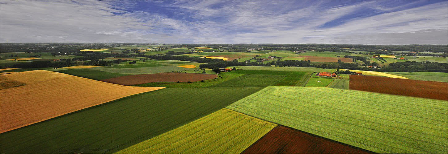 Les Champs Photo Et Image Animations Photographiques Un Jour Une Couleur Nature Images Fotocommunity