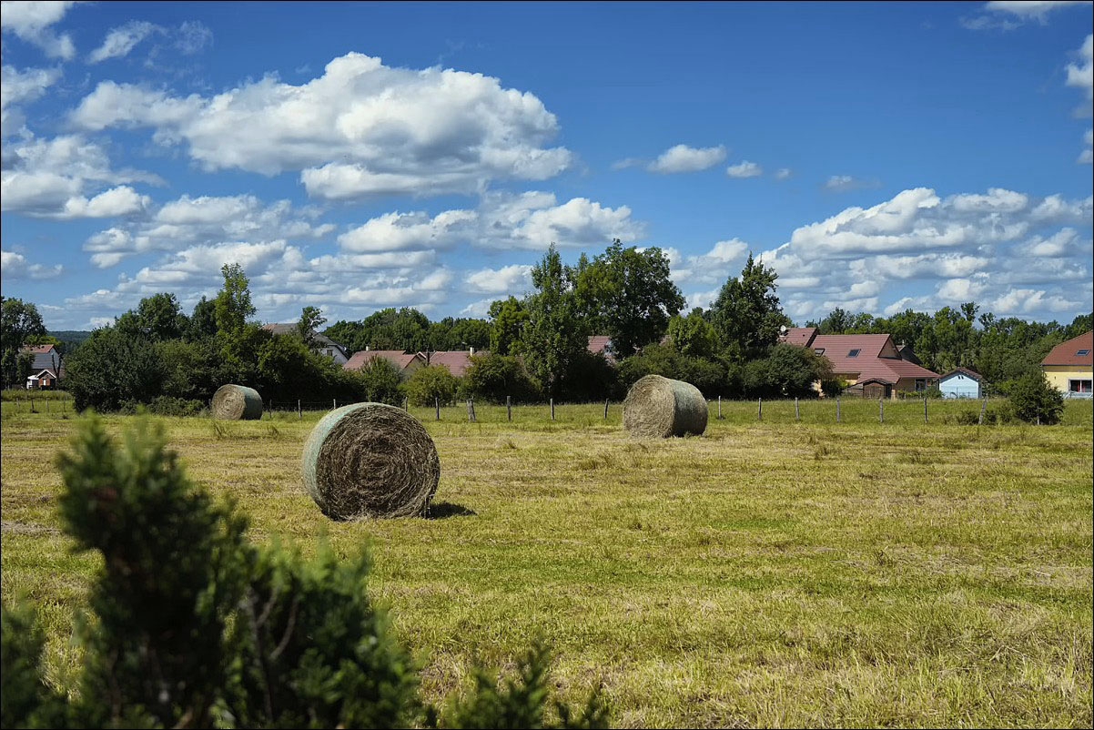 Les champs du Jura