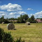 Les champs du Jura