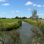 Les champs du marais de Monts