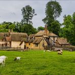 Les chaumières du hameau de la reine .