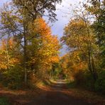 les chemins du diable