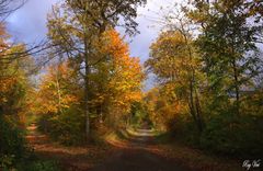 les chemins du diable