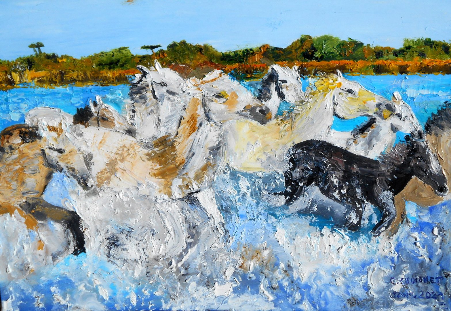 Les chevaux de Camargue 