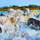 Les chevaux de Camargue 