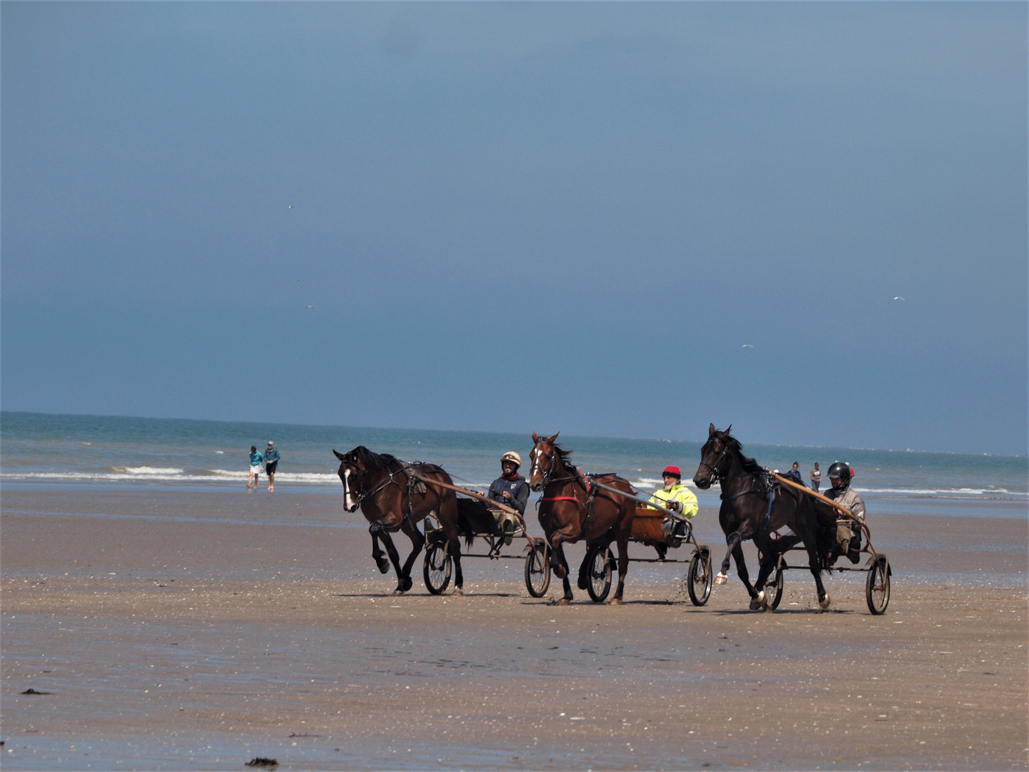 Les chevaux de retour sur la plage de Cabourg (14)