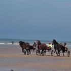 Les chevaux de retour sur la plage de Cabourg (14)