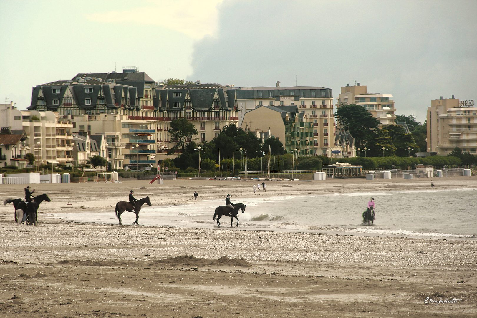 Les chevaux sur la plage