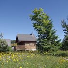 Les châlets de l'Espérou ...