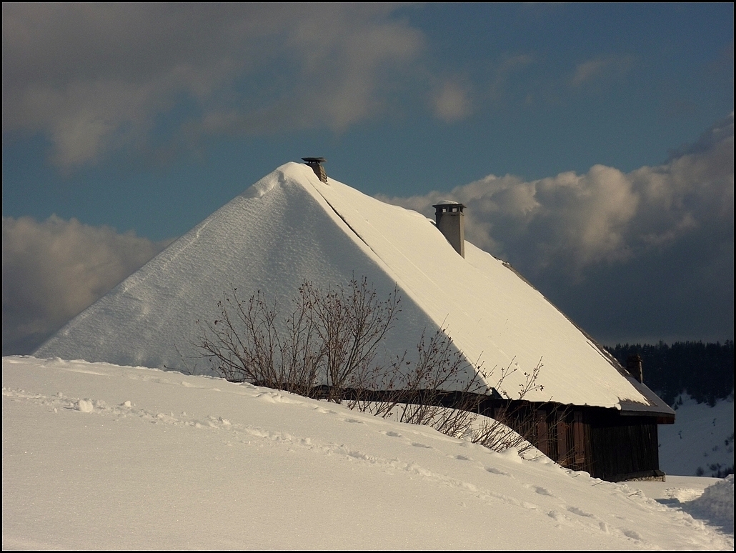 Les châlets du Praz de lys 1