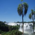 Les chutes d'Iguazù (côté Argentin)