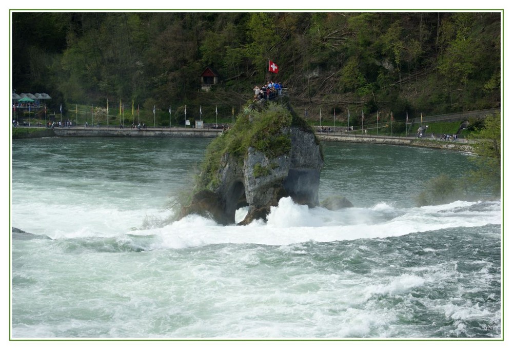 les chutes du Rhin