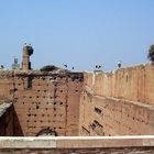 Les cigognes ont investi le Palais de la Bahia, Maroc