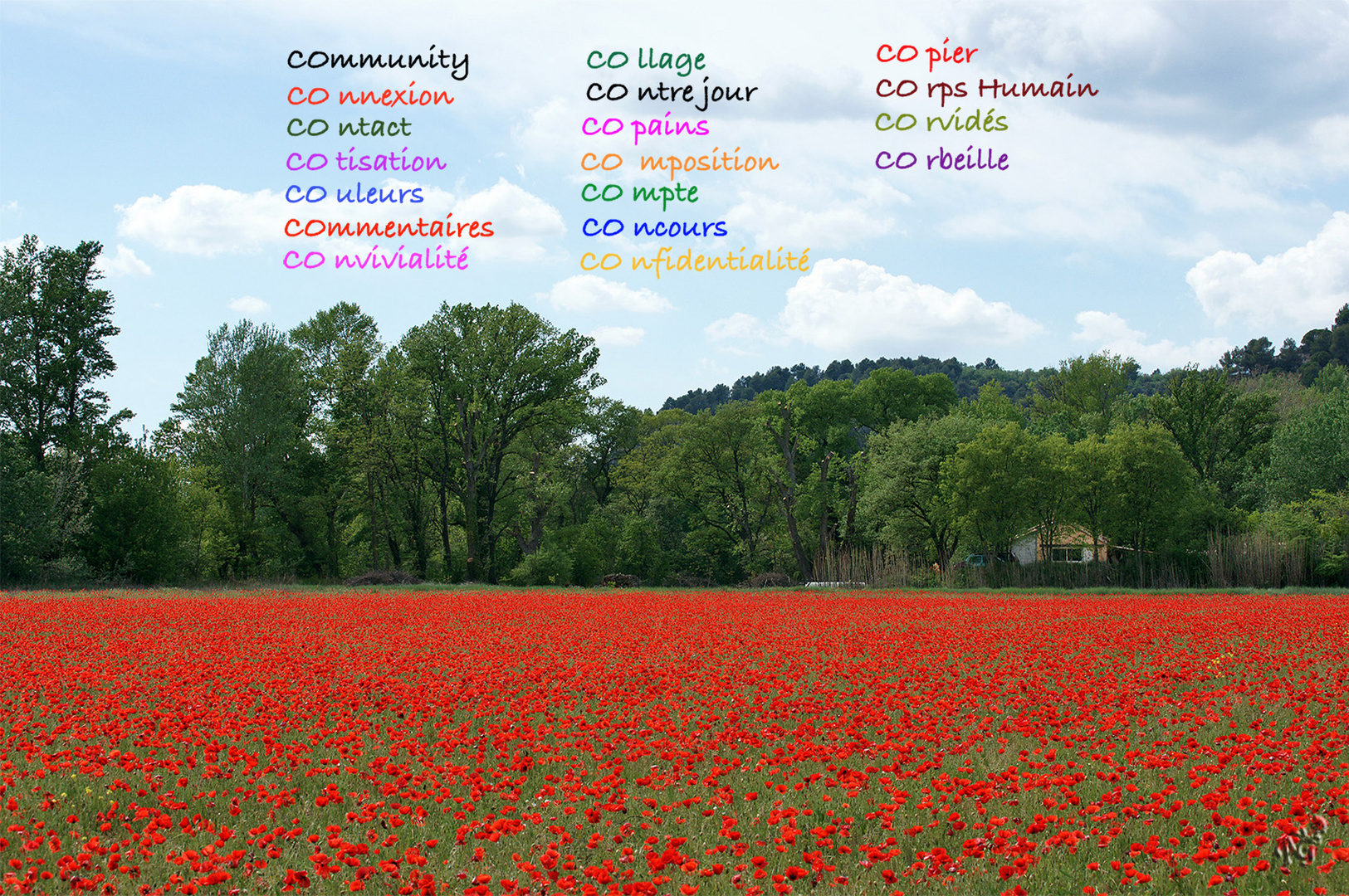 les "CO"  sur FC ...dans le champ de COquelicots