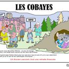 LES COBAYES ENCADRE DATE