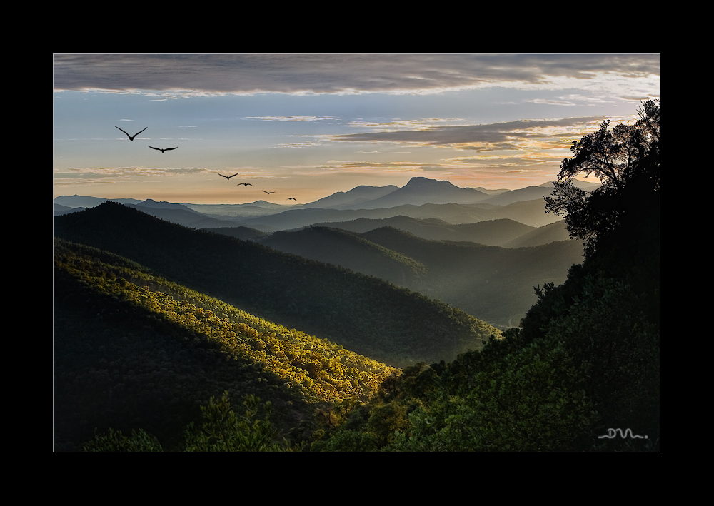 Les collines de Provences