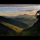 Les collines de Provences