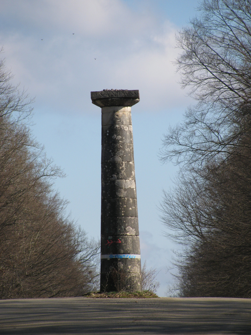 ..Les colonnes Guidon de la Forêt de Chaux...