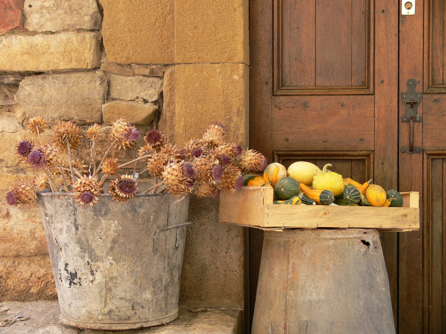 Les coloquintes