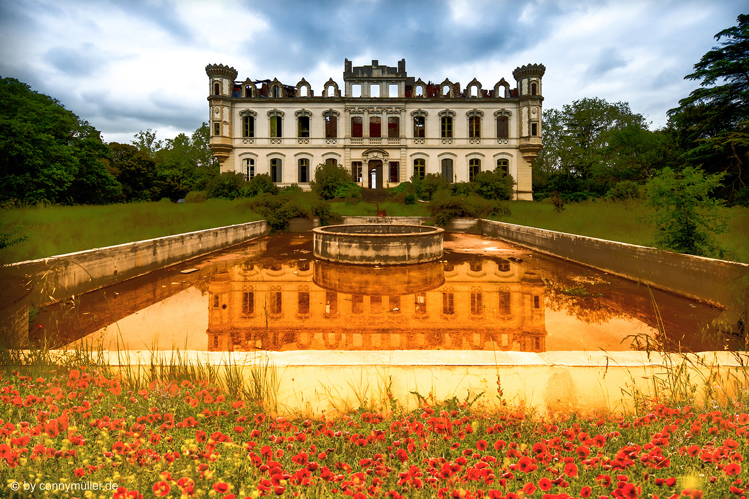 Les Coquelicots