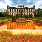 Les Coquelicots