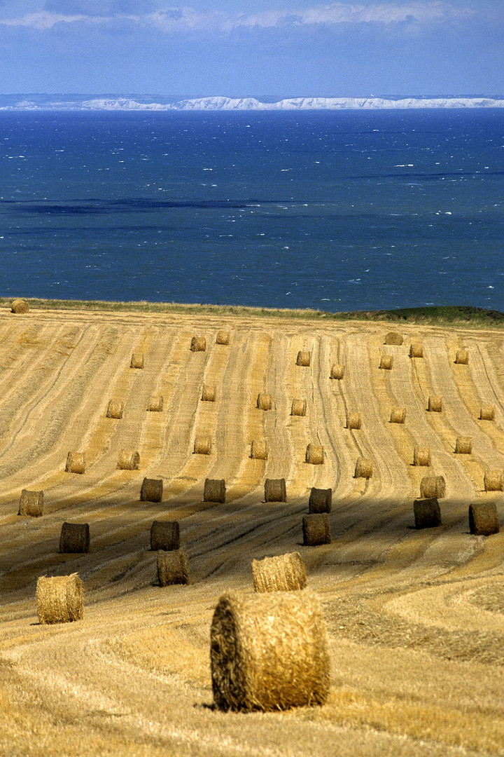 Les côtes d'Angleterre vues depuis le village d'Escalles