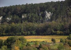 LES COTES POLINOISES EN AUTOMNE